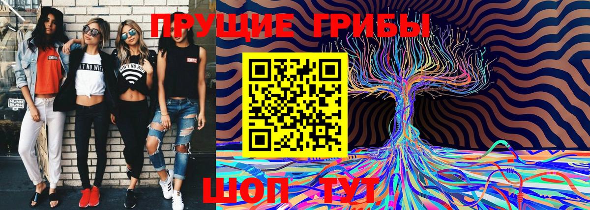 Галлюциногенные грибы Psilocybine cubensis  Вход с VPN  Галлюциногенные грибы Cubensis  Ирбит 